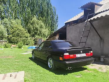 усы е34: BMW 5 series: 1995 г., 2.5 л, Механика, Бензин, Седан — 2