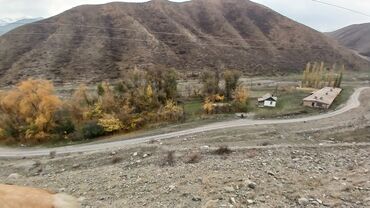 дом на иссык куле купить: 150 соток, Для сельского хозяйства, Красная книга