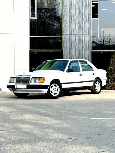 тенофовир купить в бишкеке: Mercedes-Benz W124: 2.6 л, Автомат, Бензин, Седан