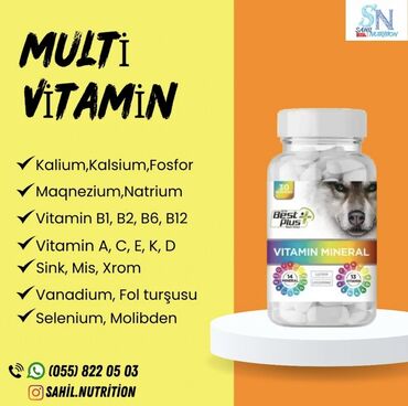 idman yemekleri: Multi Vitamin BestPlus Vitamin Mineral 60 Kapsul Vitamin 14