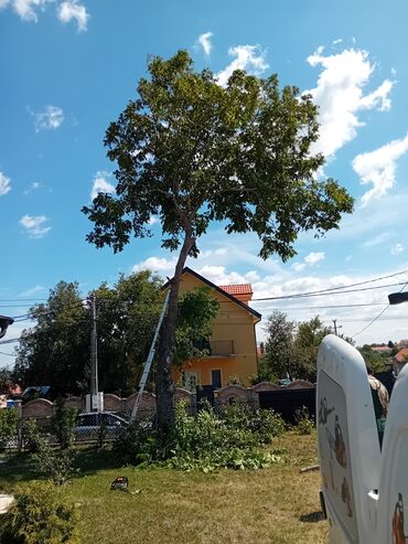 Građevinarstvo i rekonstrukcija: U ponudi su profesionalne hortikulturne usluge koje uključuju košenje — 2