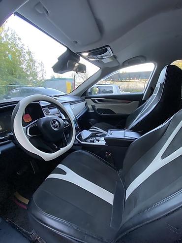 e 303: Weltmeister EX5, 2021 г., 69000 км, Передний — 6