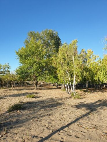 иссык куль дом: 200 соток, Курулуш