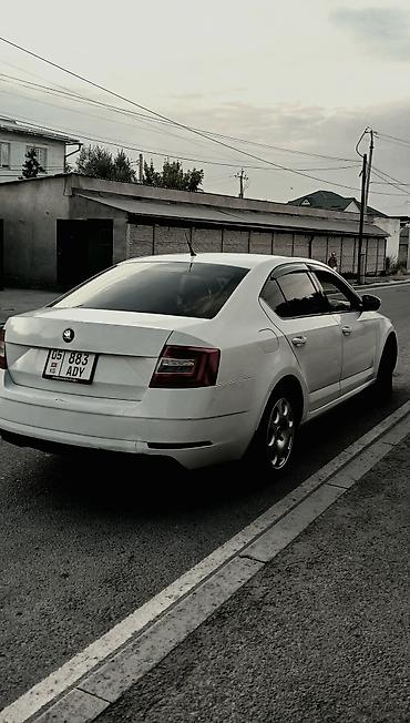 avs model 5: Skoda Octavia: 2016 г., 1.6 л, Автомат, Бензин, Лифтбек — 3