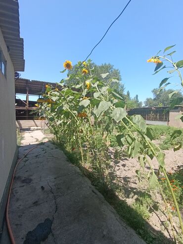 Продажа домов: Дом, 65 м², 6 комнат, Агентство недвижимости — 9