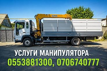 кара 10 тонник: Стрела 10 м, 4 т, Борт 7000 кг — 1