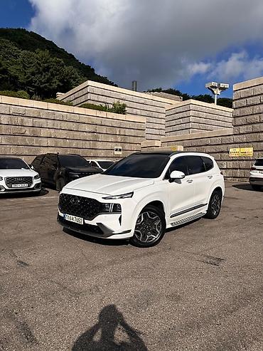 купить дверные ручки: Hyundai Santa Fe: 2021 г., 1.6 л, Автомат, Гибрид, Кроссовер — 1