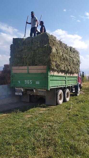 света диоты: КАМАЗ бортовой, 6x4 Описание: - Кузов самосвальный, борта — 3