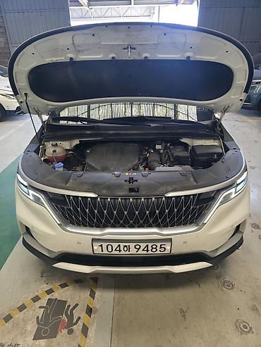 Kia: Kia Carnival: 2020 г., Минивэн — 10