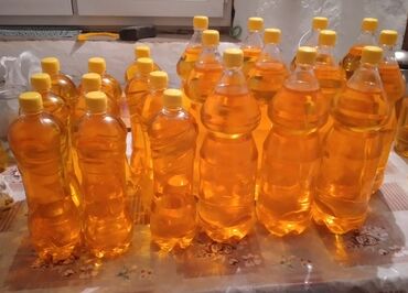 мед цена за 1 кг 2021: Отечественное натуральное Сафлоровое масло высшего качества