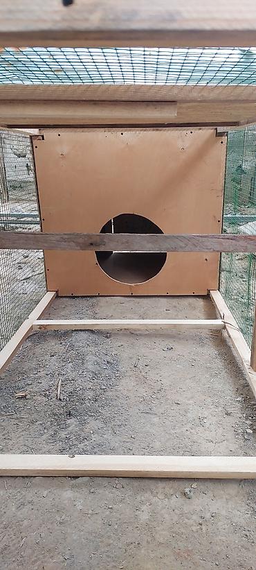Товары и оборудование для с/х животных: Переносная клетка для цыплят 🔥🔥🔥 Уличный вольер/курятник из дерева с — 3