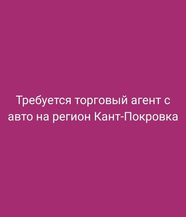 работа в такси диспетчером на дому: Требуется торговый агент с авто на регион Кант, Покровка, Ивановка