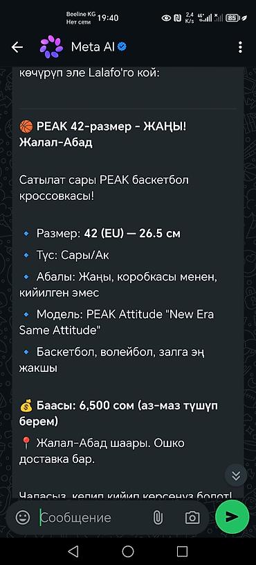42: Кроссовки PEAK Attitude “New Era Same Attitude” - Тип: баскетбольные — 1