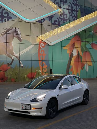 Tesla: Tesla Model 3: 2019 г., 0.1 л, Автомат, Электромобиль, Седан