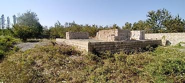 evler zabrat: 10 sot, Mülkiyyətçi, Kupça (Çıxarış) — 5