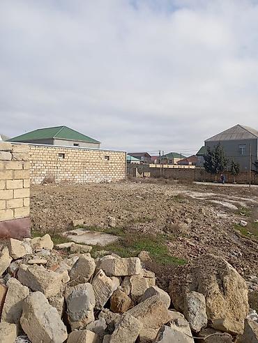 ha: 3 sot, Kənd təsərrüfatı, Kupça (Çıxarış) — 8