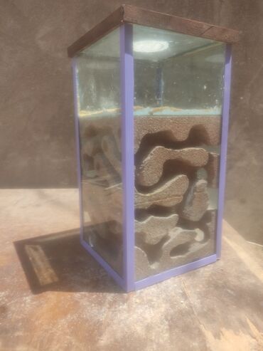 Heyvanlar üçün digər mallar: Hər ölçüdə hər dizaynda qarışqa yuvaları yığılır səliqəli və təmiz — 23