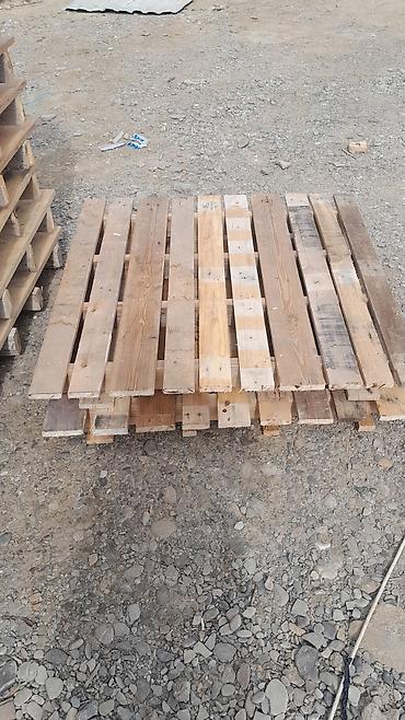 iran xurma agaci: Pallet, 800 х 1200 sm, Ödənişli çatdırılma — 9