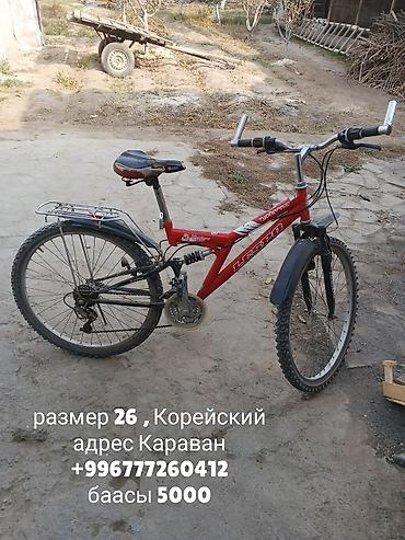 айнек рамка: Тоо велосипеддери — 1