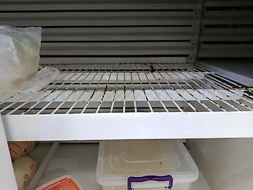 Ремонт холодильников, морозильников: Ремонт холодильников и морозильных ларей на дому. Профессионально и с — 5