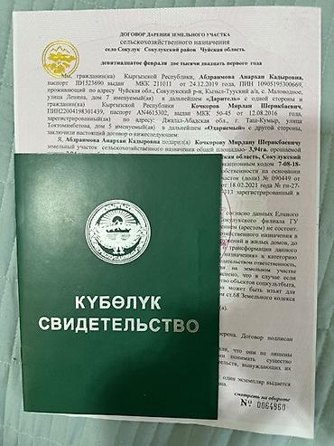 полки в аренду: 400 соток, Для сельского хозяйства, Договор купли-продажи — 4