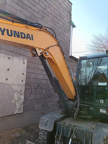 Экскаваторы: Экскаватор, Hyundai, 2019 г., Колесный — 8