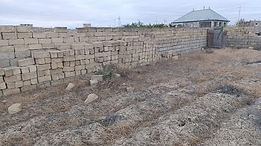 saray torpag: 6000 sot, Tikinti, Bələdiyyə — 3