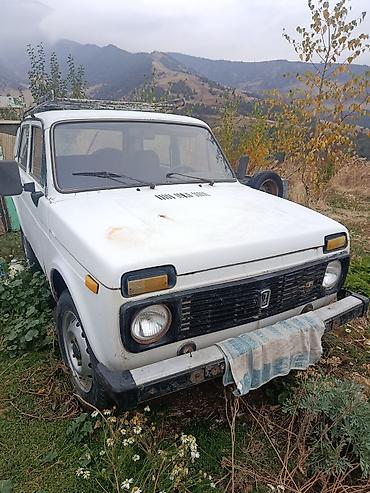богажник на ниву: ВАЗ (ЛАДА) 2121 (4x4): 1990 г., Механика, Бензин, Внедорожник — 1