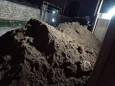 peygember gulu: Məhsul: Qara torpaq (bağ və landşaft işləri üçün)İsmayıl şamaxi — 5