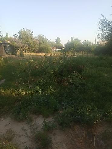 Недвижимость: Продаётся жилой дом срочно с хозяйственным двором и зелёным участком — 5