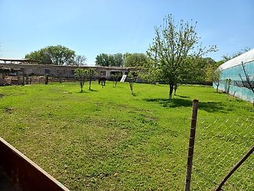 Продажа сельхоз предприятий: Кошара, 1500 соток, Действующий, С оборудованием, Электричество, Канализация, Отопление — 4