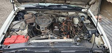 Chevrolet: Chevrolet S-10 pikap - Korpus: 2 qapılı, tək kabin - Rəng: ağ - — 8