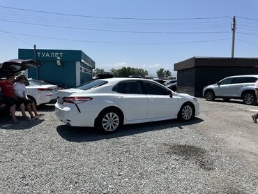 runx alex: Toyota Camry: 2020 г., 2.5 л, Автомат, Бензин, Седан