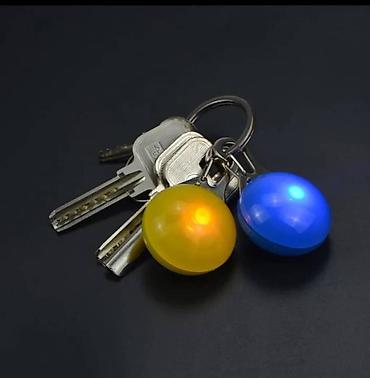 чихуа: Продаются светящиеся кулоны для выгула собак в темное время суток — 5