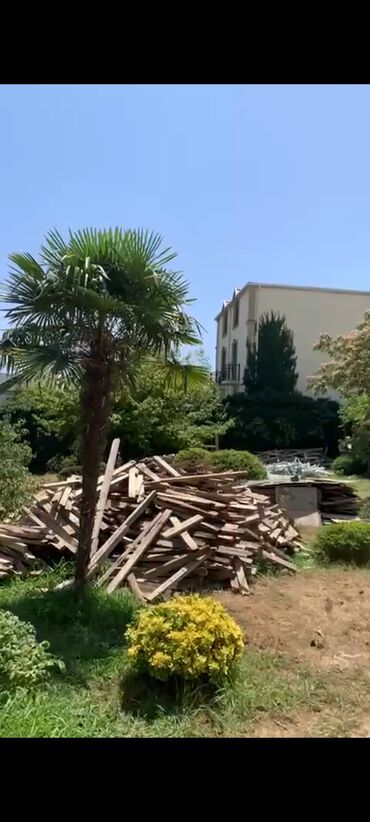 razinde satilan torpaq saheleri: 12 sot, Kupça (Çıxarış)