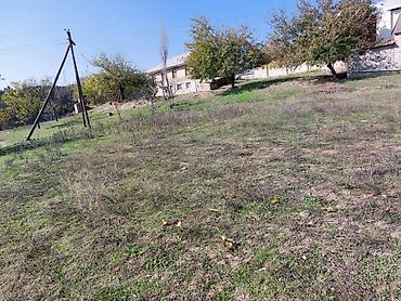 kiraye ev zabrat 1: 29 sot, Kənd təsərrüfatı, Mülkiyyətçi, Kupça (Çıxarış) — 6