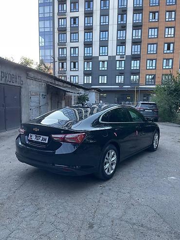шевралет avio: Chevrolet Malibu: 2020 г., 1.5 л, Автомат, Бензин, Седан — 4
