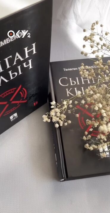 кыргыз тили 5 класс а к койлубаева жооптору: Роман