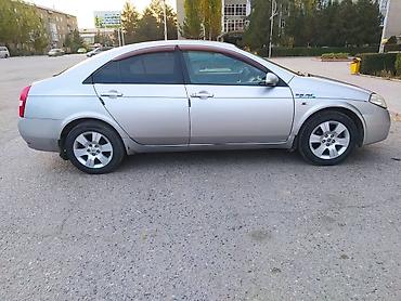 аренда авто спарк: Nissan Primera: 2004 г., 1.8 л, Автомат, Бензин, Лифтбек — 5
