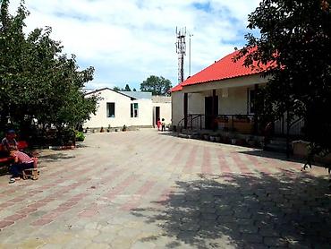 шикарный особняки: 6 комнат и более, 800 м², 8 соток, Тамчы, Собственник — 1