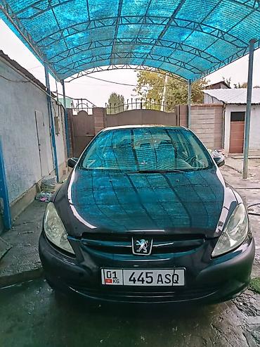 коврик для: Peugeot 206: 2005 г., 1.6 л, Автомат, Бензин, Хэтчбэк — 1