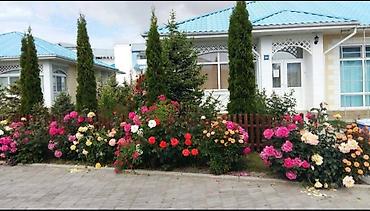 Продажа коттеджей и домов: Продается шикарный коттедж с террасой и собственным участком в зелёном — 25