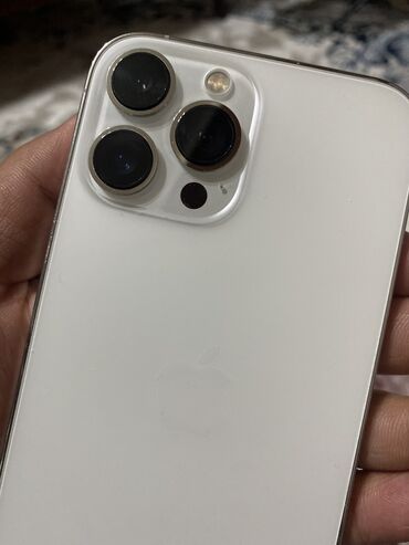 пока x3: IPhone 13 Pro Max, Б/у, 256 ГБ, White Titanium, Зарядное устройство, Защитное стекло, Чехол, 80 %