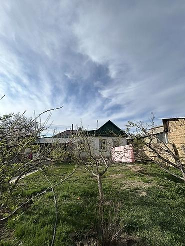 Продажа коттеджей и домов: Продается жилой дом с большим земельным участком и хозяйственным — 1