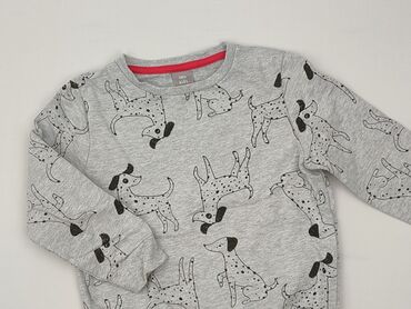sukienka do tańca: Sweatshirt, Little kids, 5-6 years, 110-116 cm, condition - Perfect