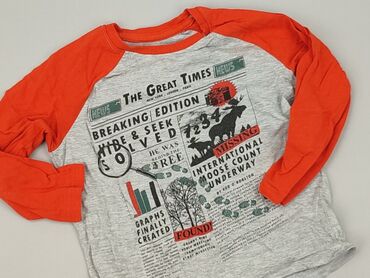 koszulki basic: Sweatshirt, Little kids, 3-4 years, 98-104 cm, condition - Very good