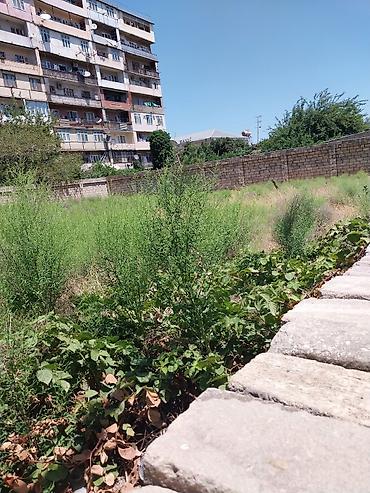 razin: 9 sot, Tikinti, Makler, Kupça (Çıxarış) — 3
