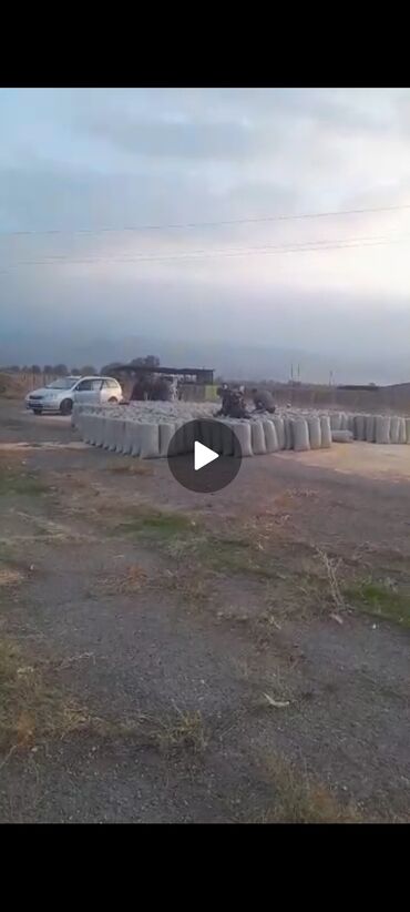 садовые тележки: Кукуруза