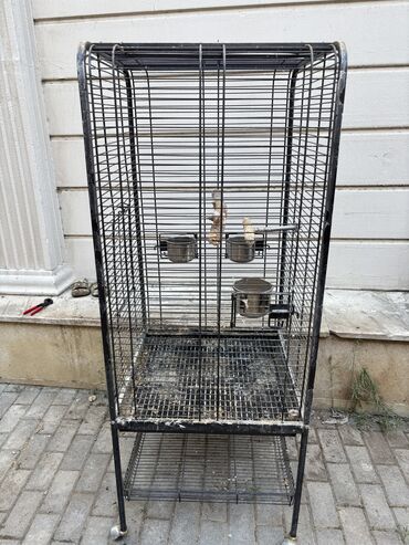 Pişiklər: Qefes. Boyuk qefesdir, 1 il istifade olunub. Jako, kakadu kimi böyük