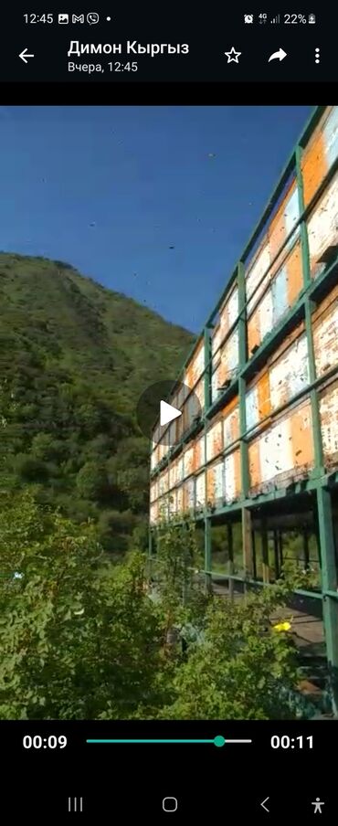 пчёлы пасика: Пасика на 300 семей со всем оборудованием